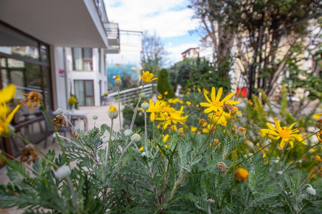 Photo of Others in Adalar