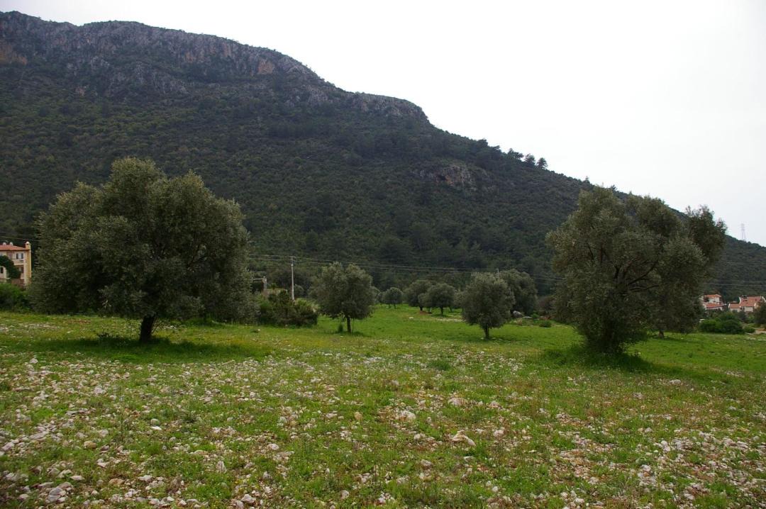 Photo of Others in Oludeniz