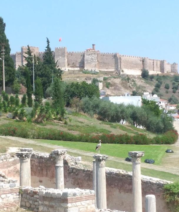 Photo of Others in Selcuk