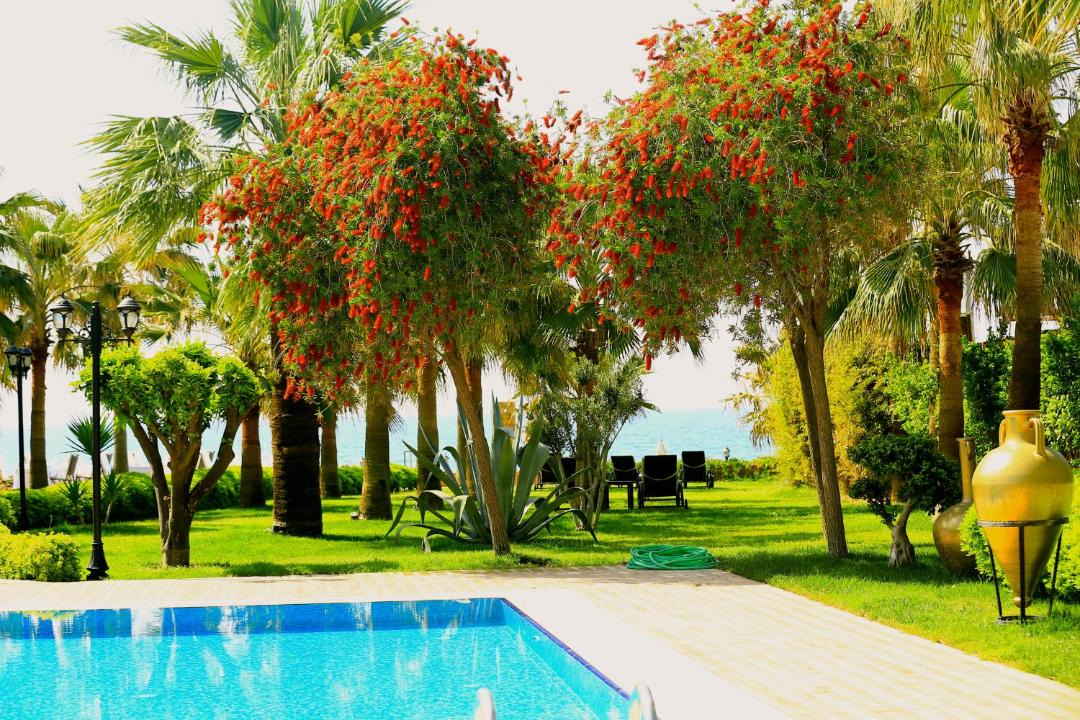 Photo of Others in Alanya