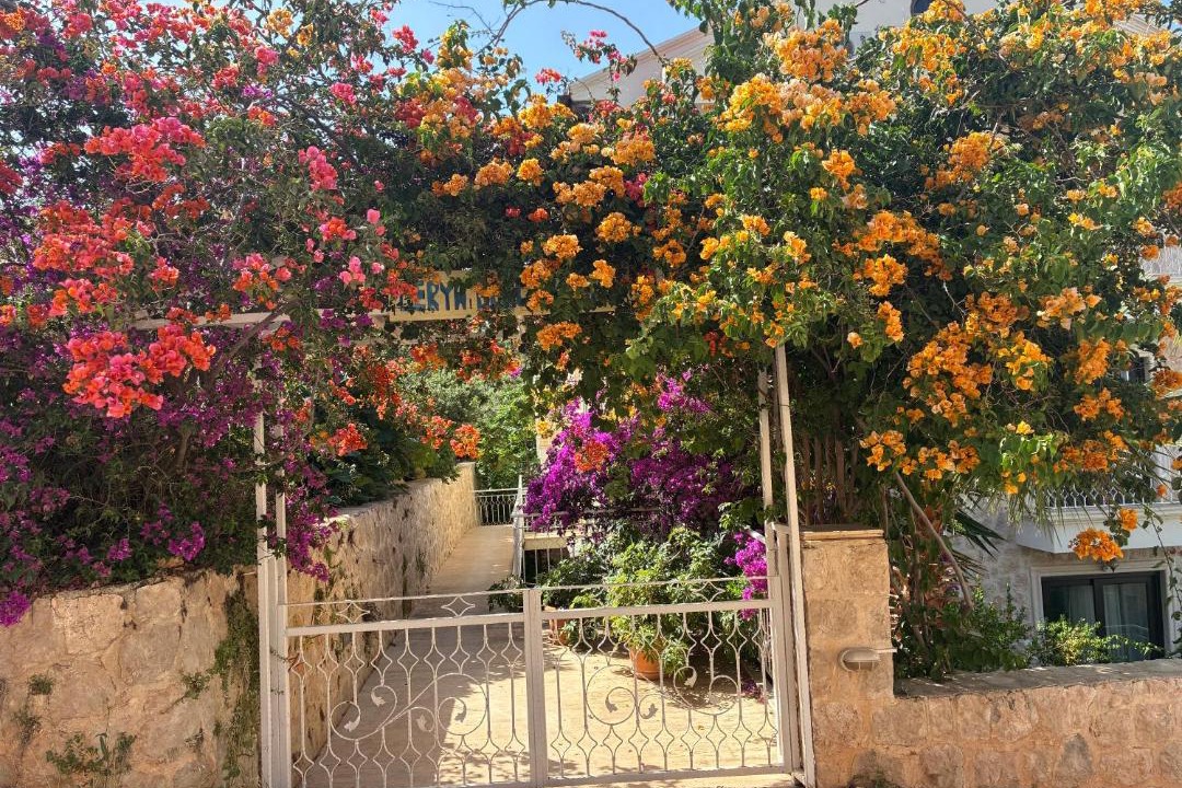 Photo of Others in Kas