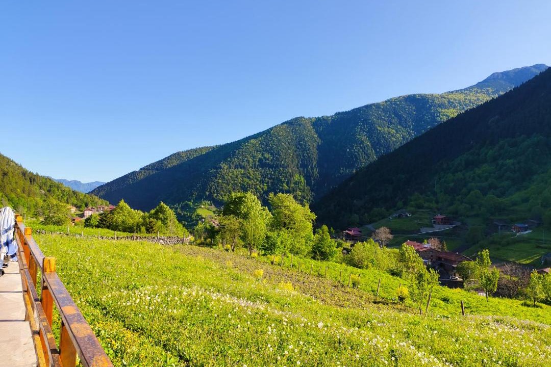 Photo of Others in Uzungol