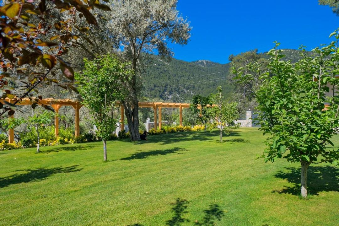 Photo of Others in Fethiye