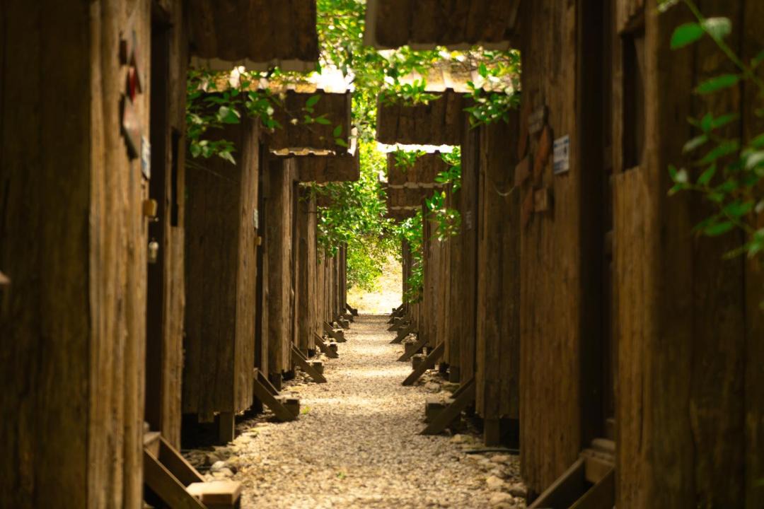 Photo of Others in Olympos