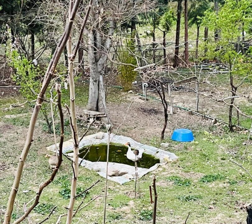 Photo of Others in Merkezefendi