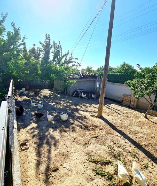 Photo of Others in Avanos