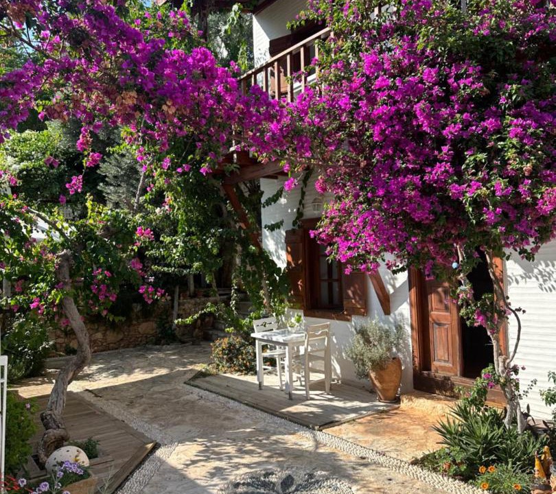 Photo of Others in Kalkan