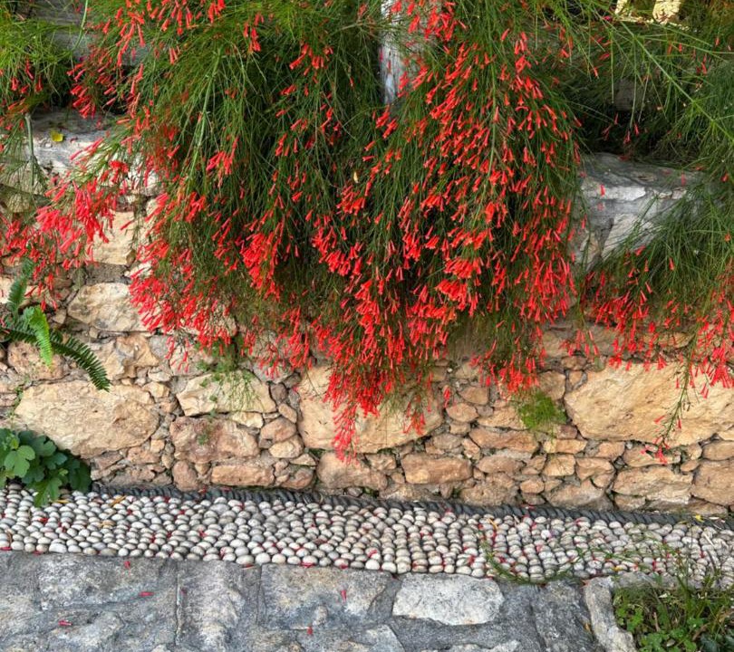 Photo of Others in Kalkan