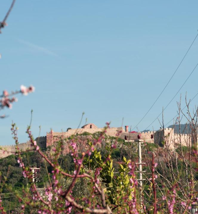 Photo of Others in Selcuk