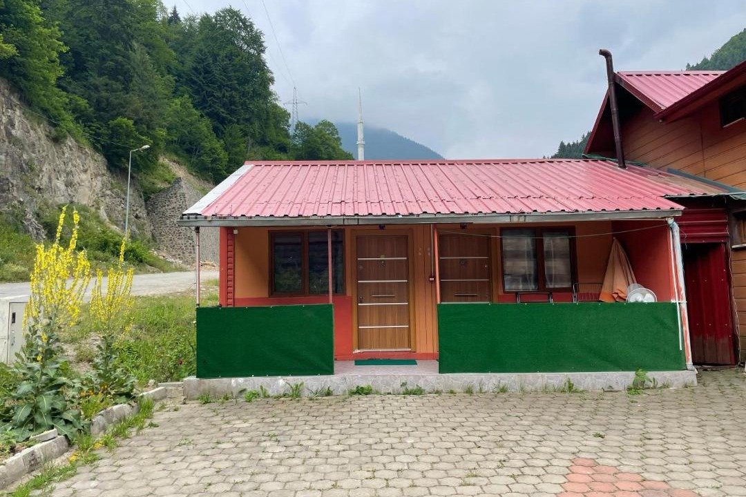Photo of Others in Uzungol