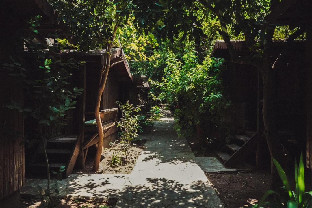 Photo of Others in Olympos