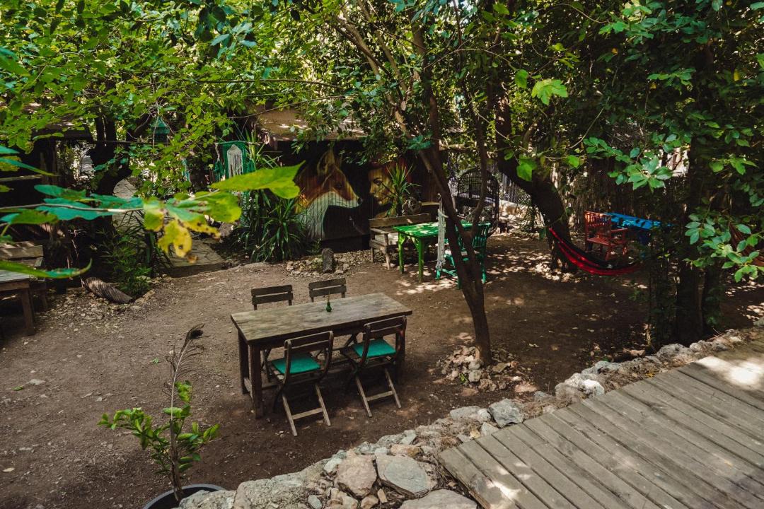 Photo of Others in Olympos