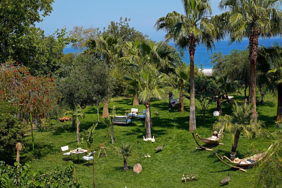 Photo of Others in Olympos