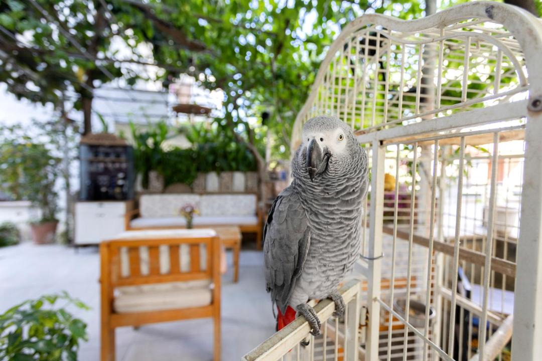 Photo of Others in Datca City Center