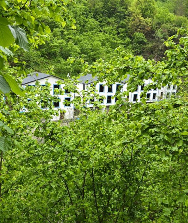 Photo of Others in Trabzon