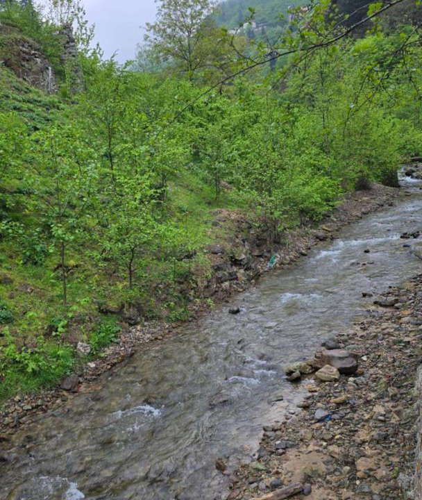 Photo of Others in Trabzon