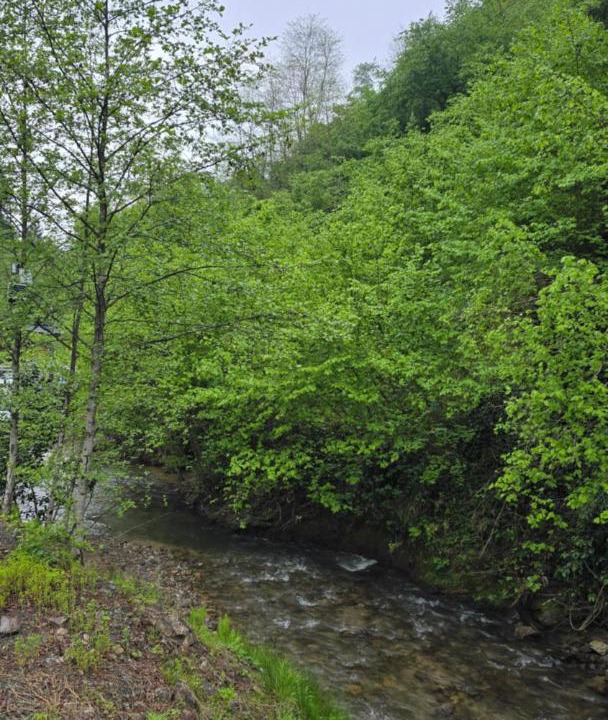 Photo of Others in Trabzon