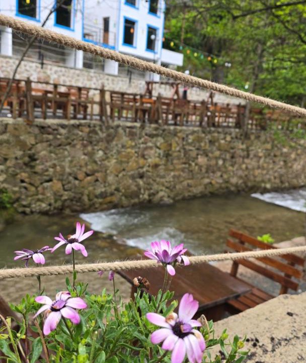 Photo of Others in Trabzon