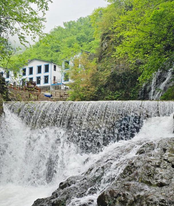 Photo of Others in Trabzon