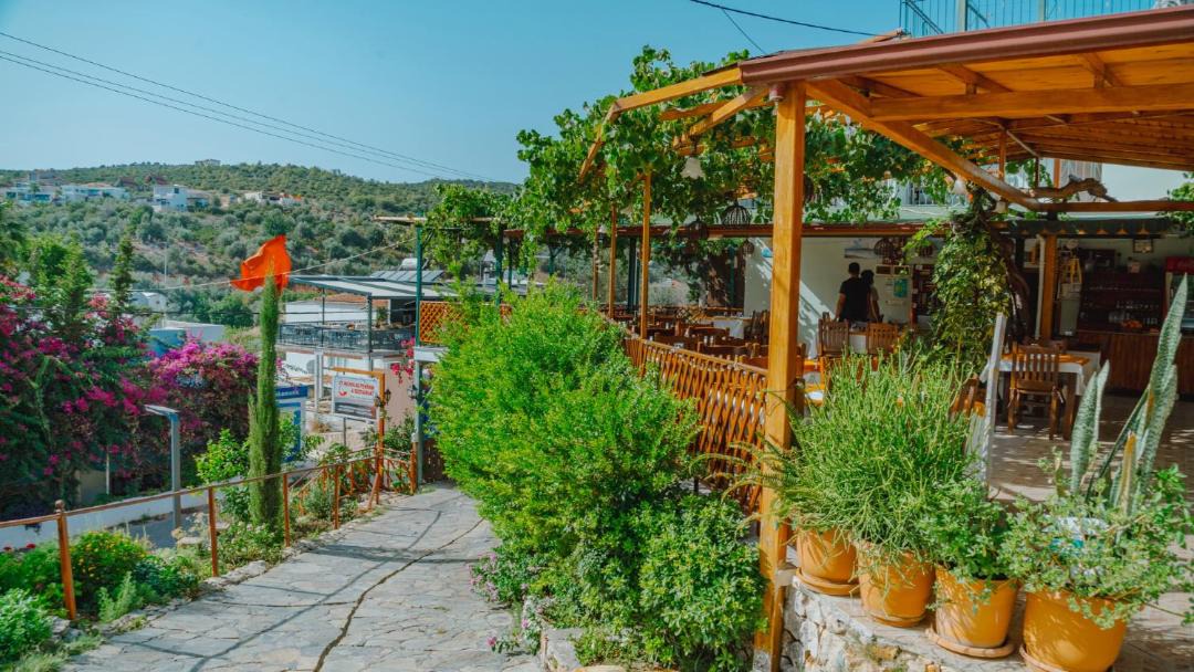 Photo of Others in Patara