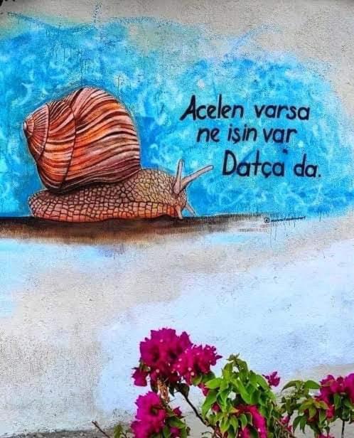 Photo of Others in Datca City Center