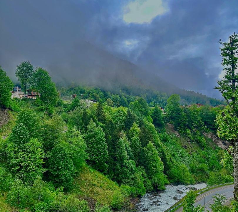 Photo of Others in Uzungol
