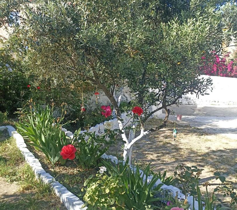 Photo of Others in Gullubahce