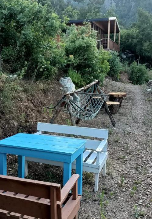 Photo of Others in Gazipasa