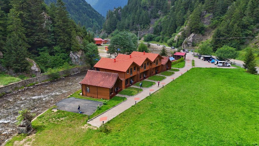 Photo of Others in Uzungol