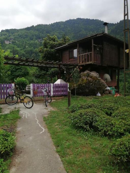 Photo of Others in Ayder