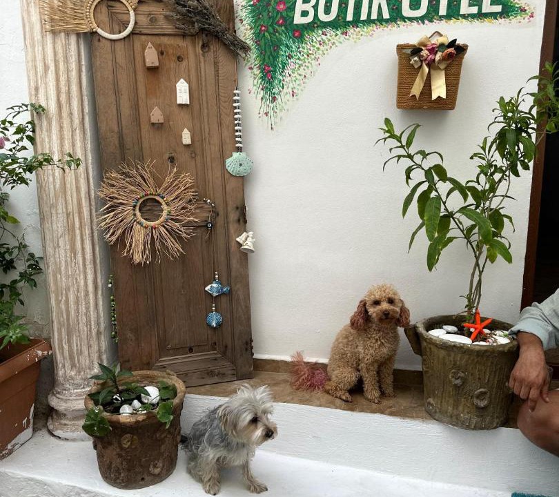Photo of Others in Bodrum City Center