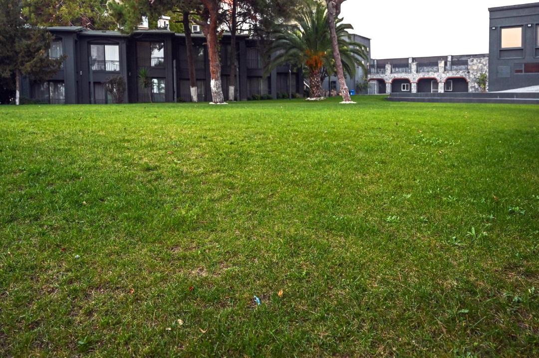 Photo of Others in Kartal