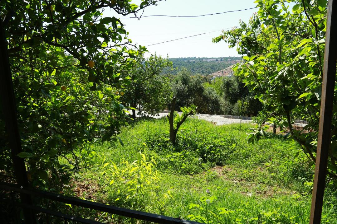 Photo of Others in Patara