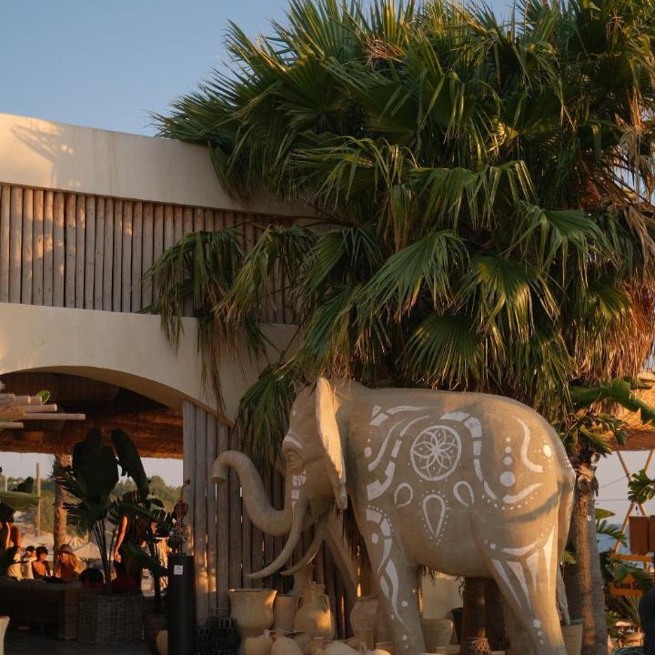 Photo of Others in Cesme