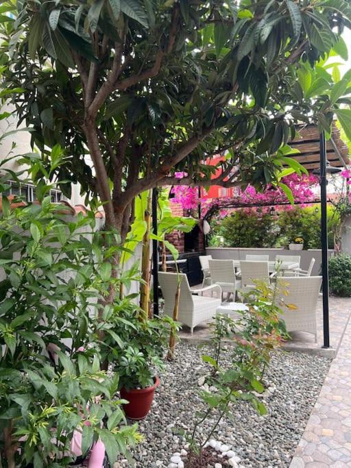 Photo of Others in Marmaris City Center