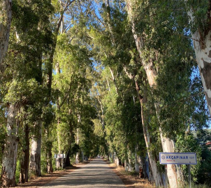 Photo of Others in Akcapinar