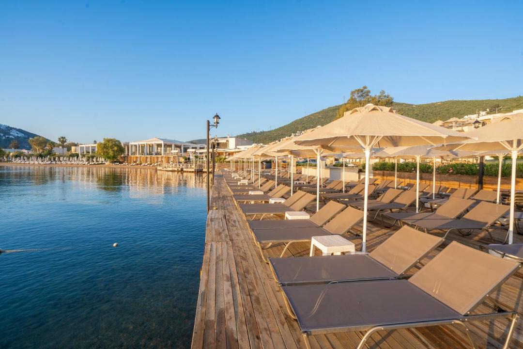 Photo of Others in Torba