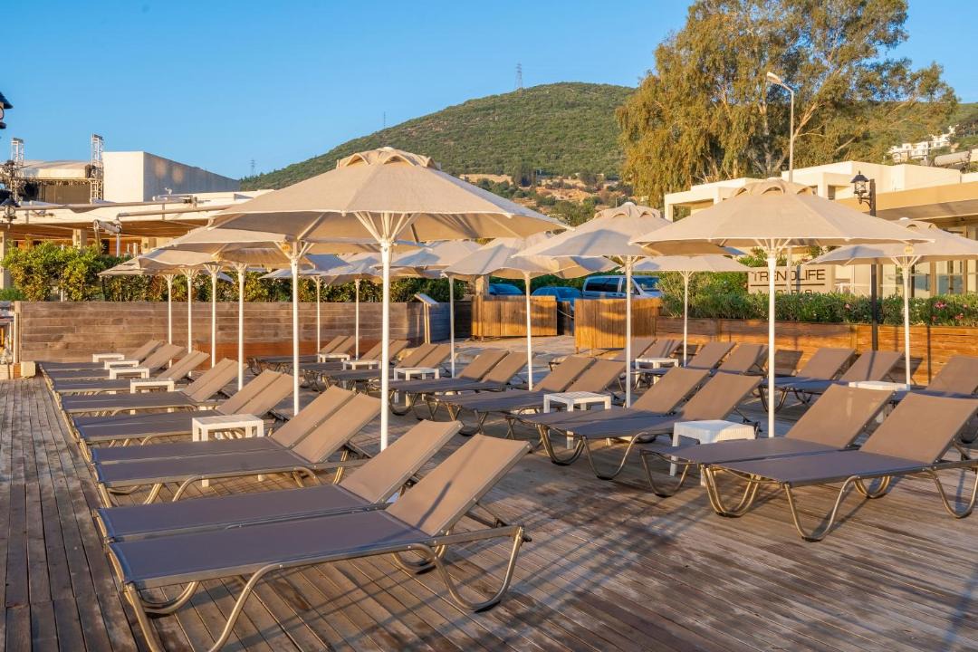 Photo of Others in Torba