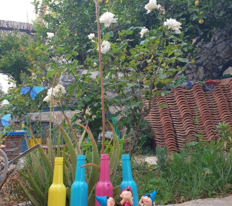 Photo of Others in Datca