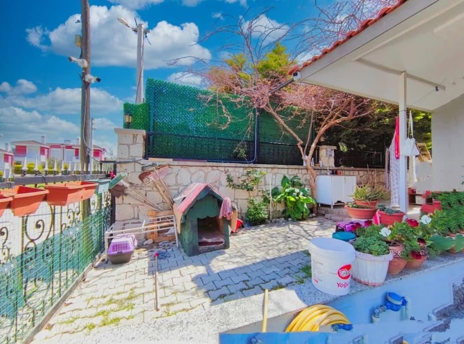 Photo of Livingroom in Cesme