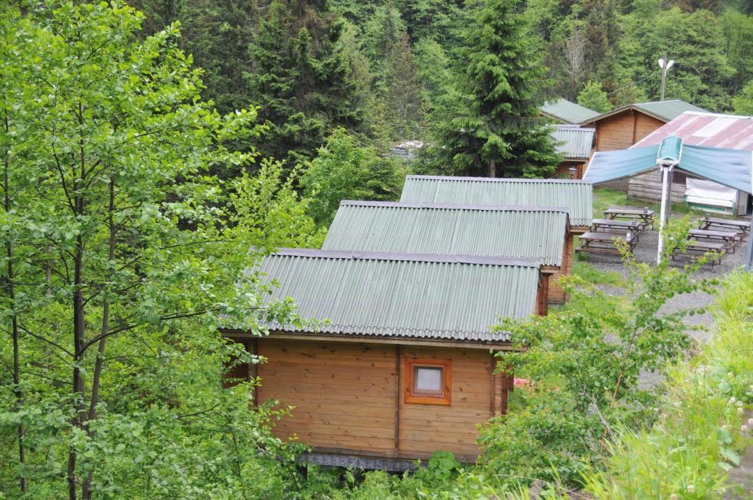 Photo of Others in Ayder Yaylasi
