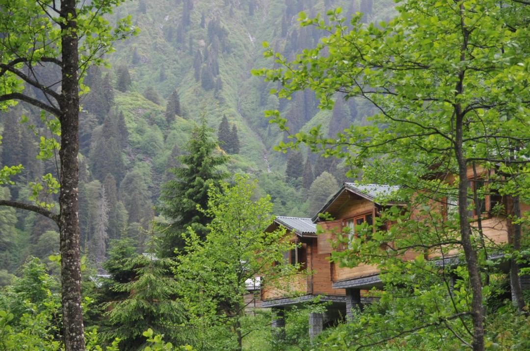 Photo of Others in Ayder Yaylasi