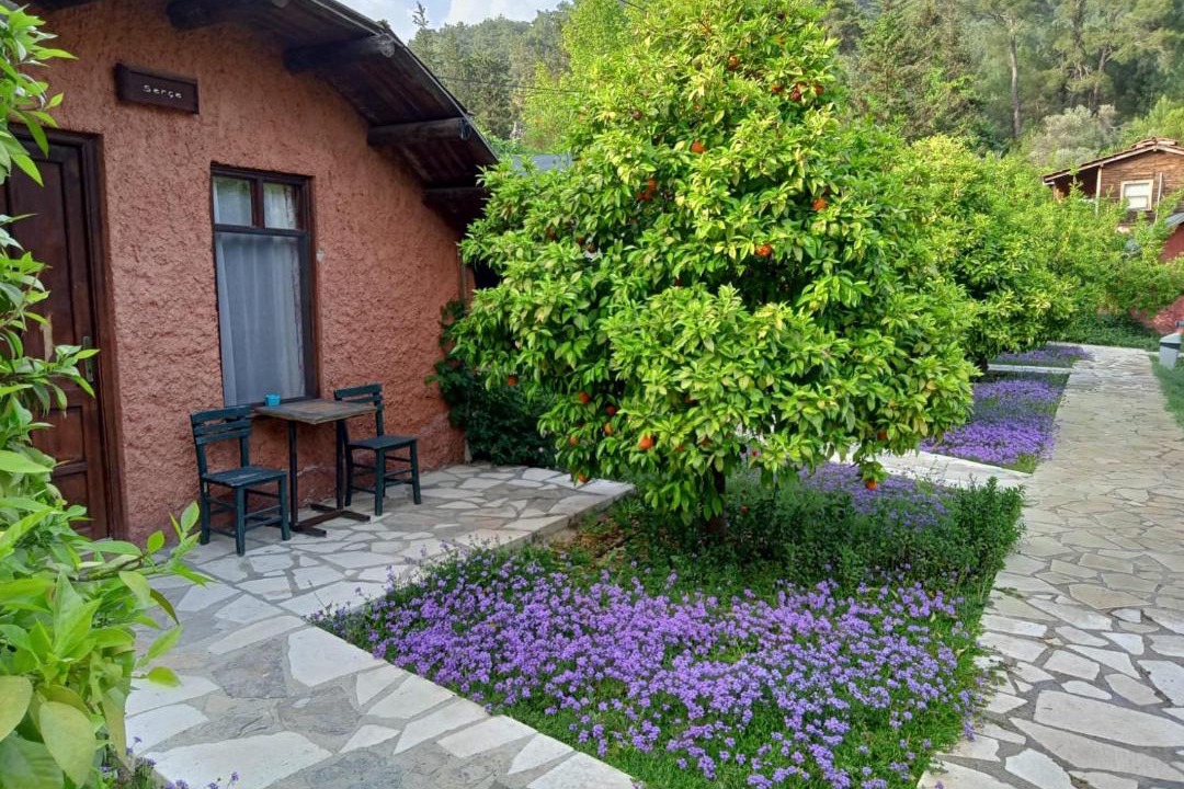 Photo of Others in Olympos