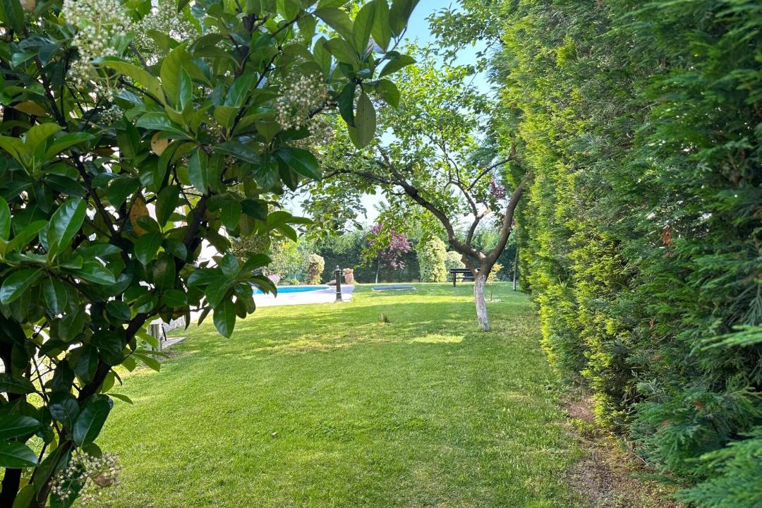Photo of Others in Sapanca