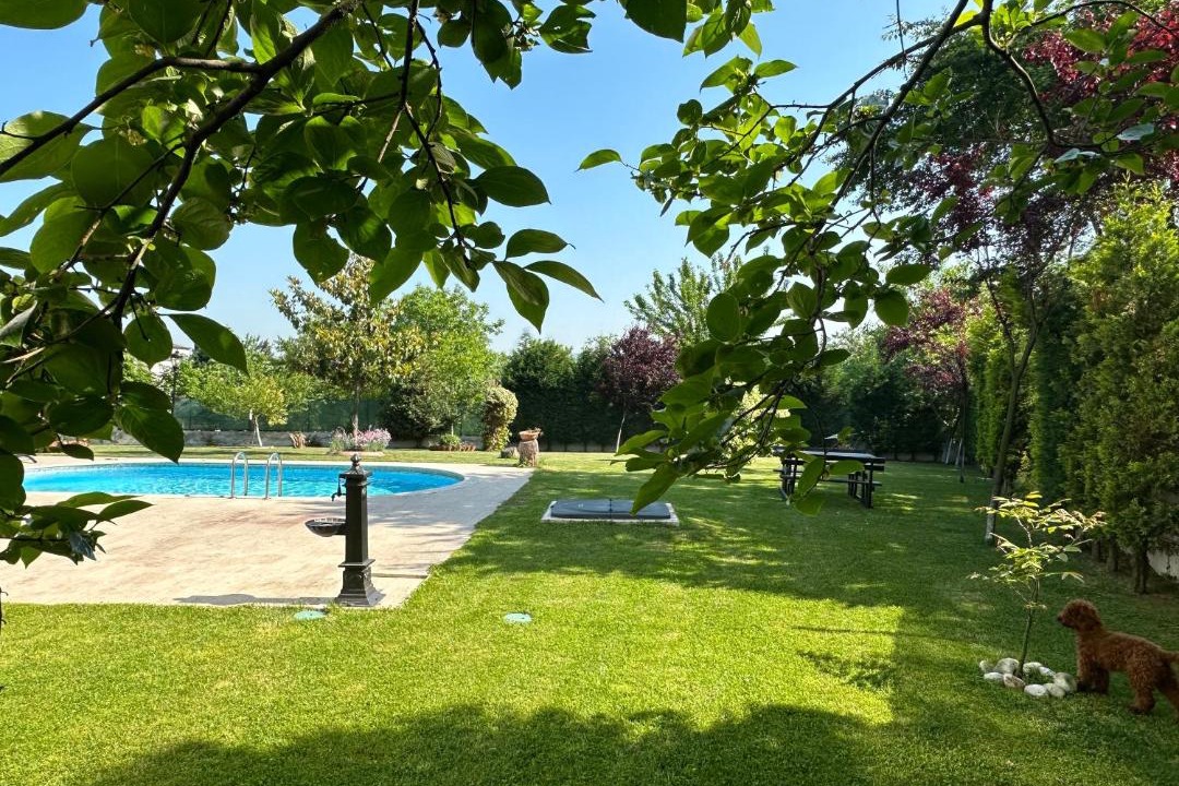 Photo of Others in Sapanca