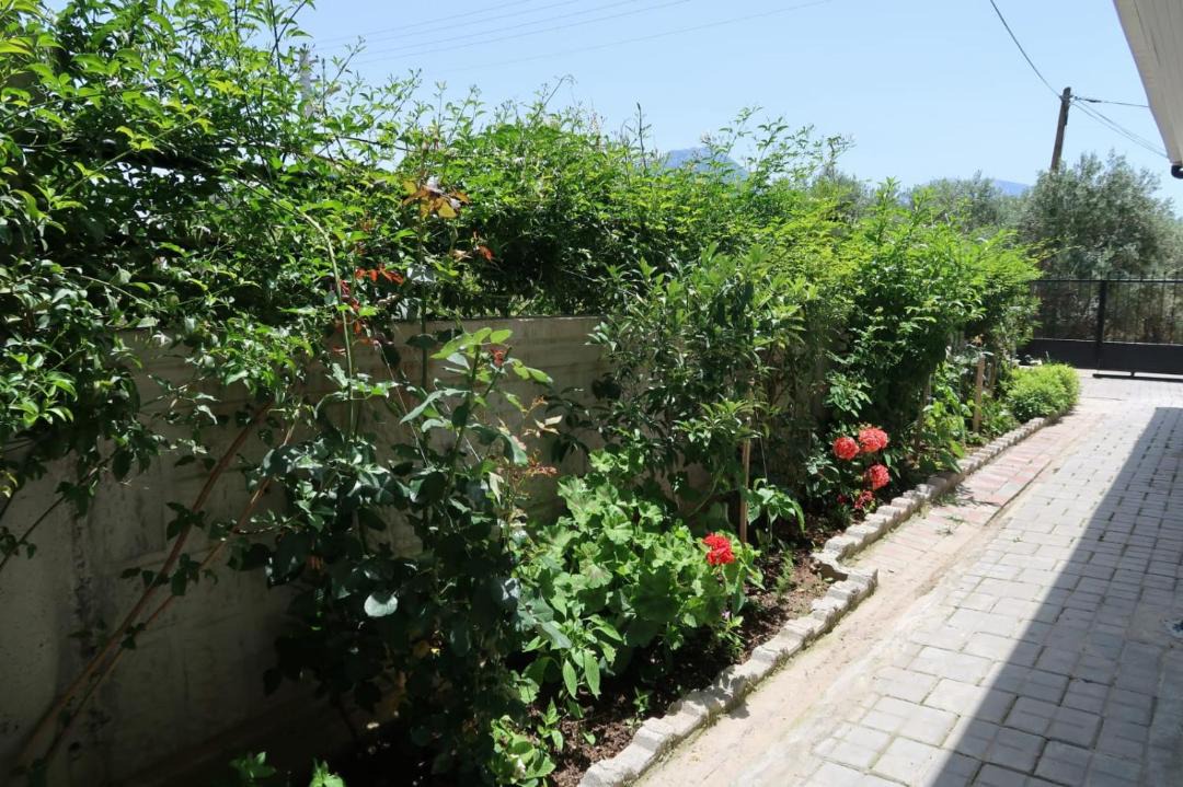 Photo of Others in Fethiye