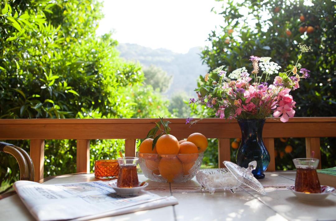 Photo of Others in Olympos