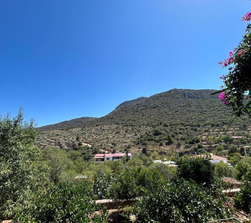 Photo of Others in Datca