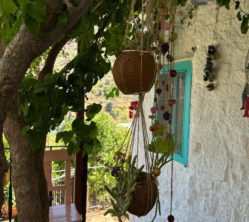 Photo of Others in Datca
