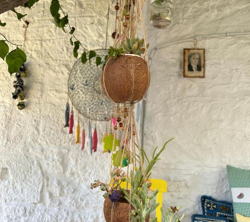 Photo of Others in Datca